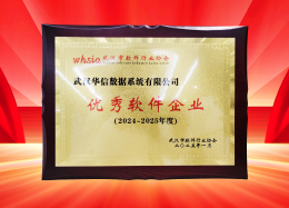 喜讯丨DB真人旗舰 DB数据获评2024~2025年度武汉市软件行业&ldquo;优秀企业&rdquo;、&ldquo;优秀工作者&rdquo;荣誉称号！